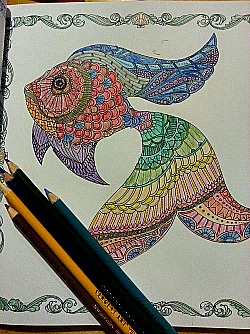 colored fish-small